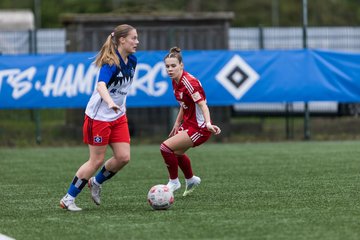 Bild 186 - F Hamburger SV 2 - SpVg Aurich : Ergebnis: 1:1